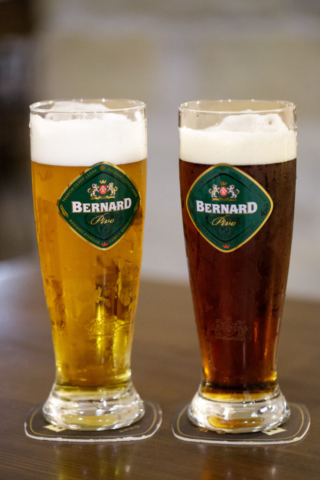 Pivo pro zlatovlásku a brunetu :-)